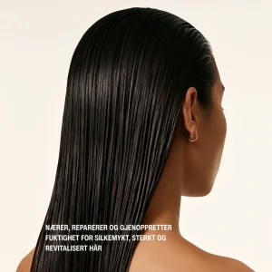 Moroccan Argan Oil Hair Mask