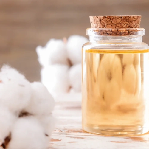 Gossypium Herbaceum Seed Oil